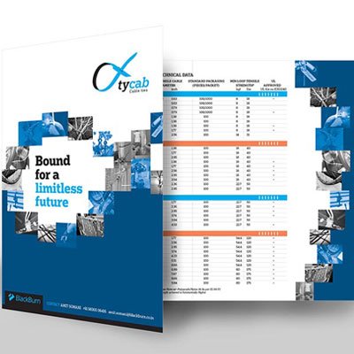 https://old.wysiwyg.co.in/sites/default/files/worksThumb/BlackBurn-Tycab-Brochure.jpg