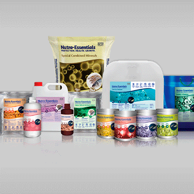 https://old.wysiwyg.co.in/sites/default/files/worksThumb/IFB-Agro-Nutraessentials-Packaging-Web-Brochure-POS-2023.gif