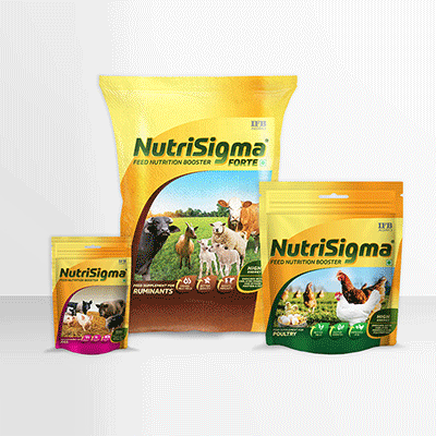 https://old.wysiwyg.co.in/sites/default/files/worksThumb/IFB-Agro-Nutrisigma-Pig-Poutry-Ruminant-Leaftlet-POS-Web-Jan-2024.gif